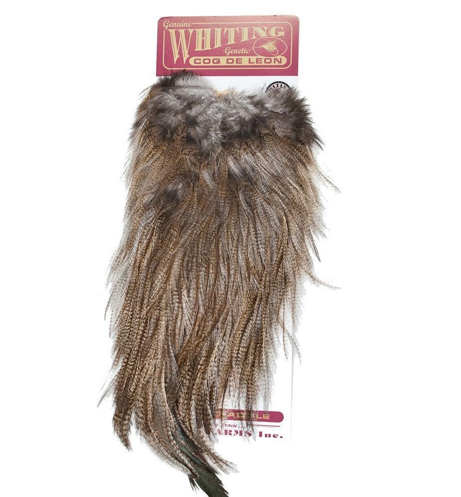 Whiting Coq de Leon Bronze Saddle Dark Pardo - Pardo | Fly fishing